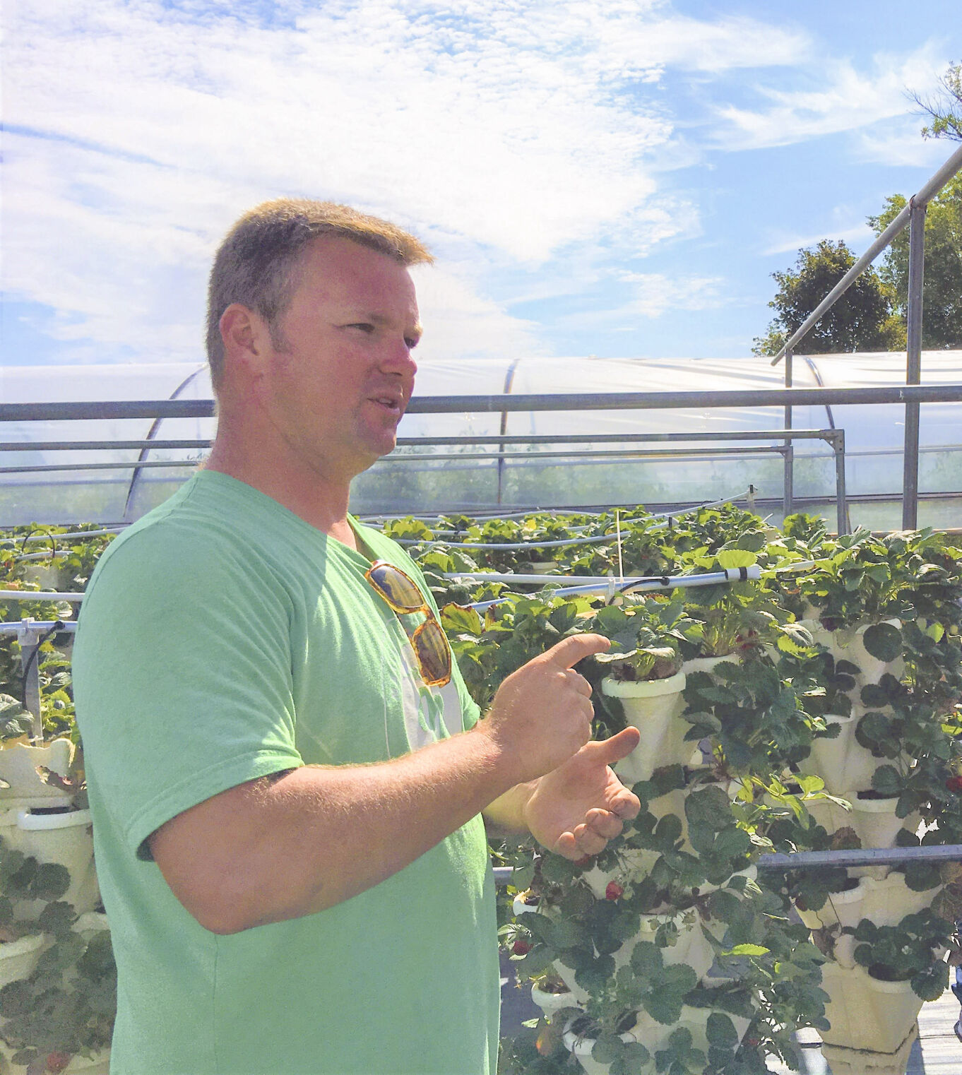 DeWitt County specialty growers offering consumers new picking opportunities